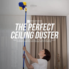 Angled Cobweb Brush with 180cm Telescopic Handle