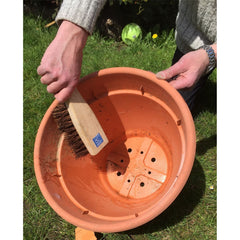 Stiff Bassine Churn Brush – Angled Pot Brush