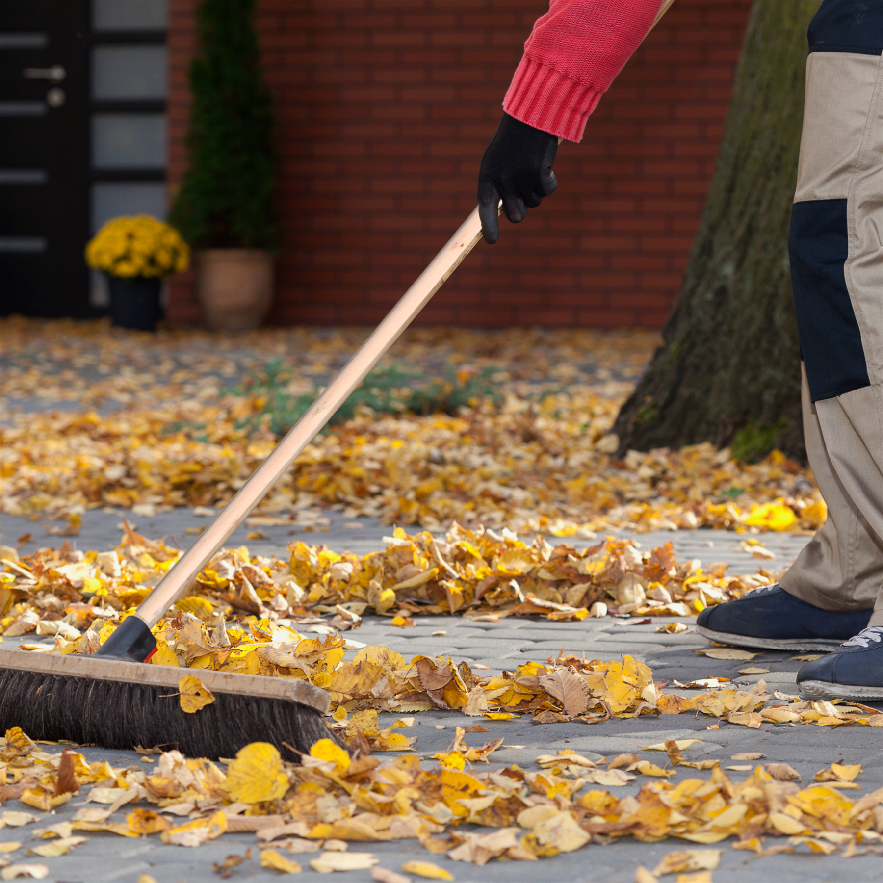 15/16" (23-24mm) Value Broom Handle 4ft (120cm)
