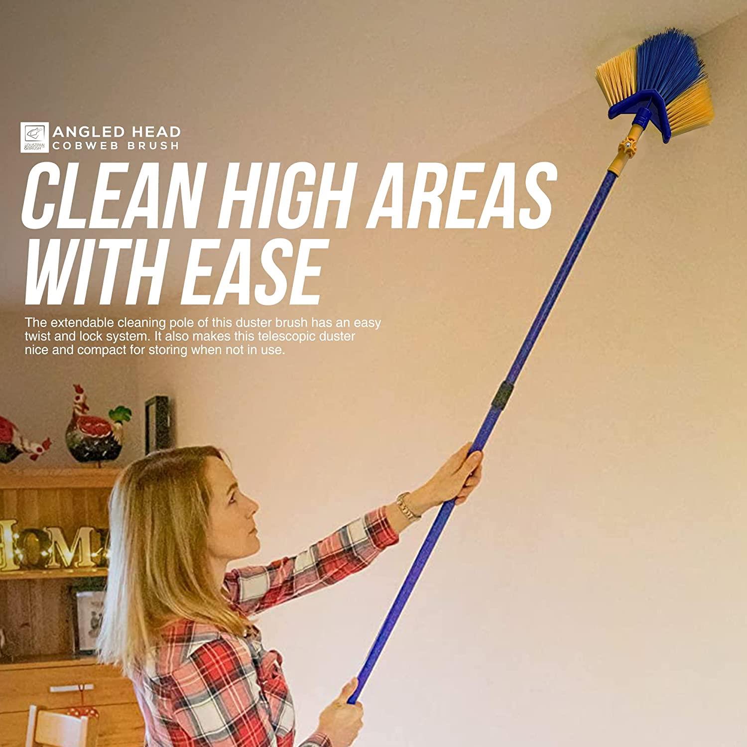 Angled Cobweb Brush with 180cm Telescopic Handle