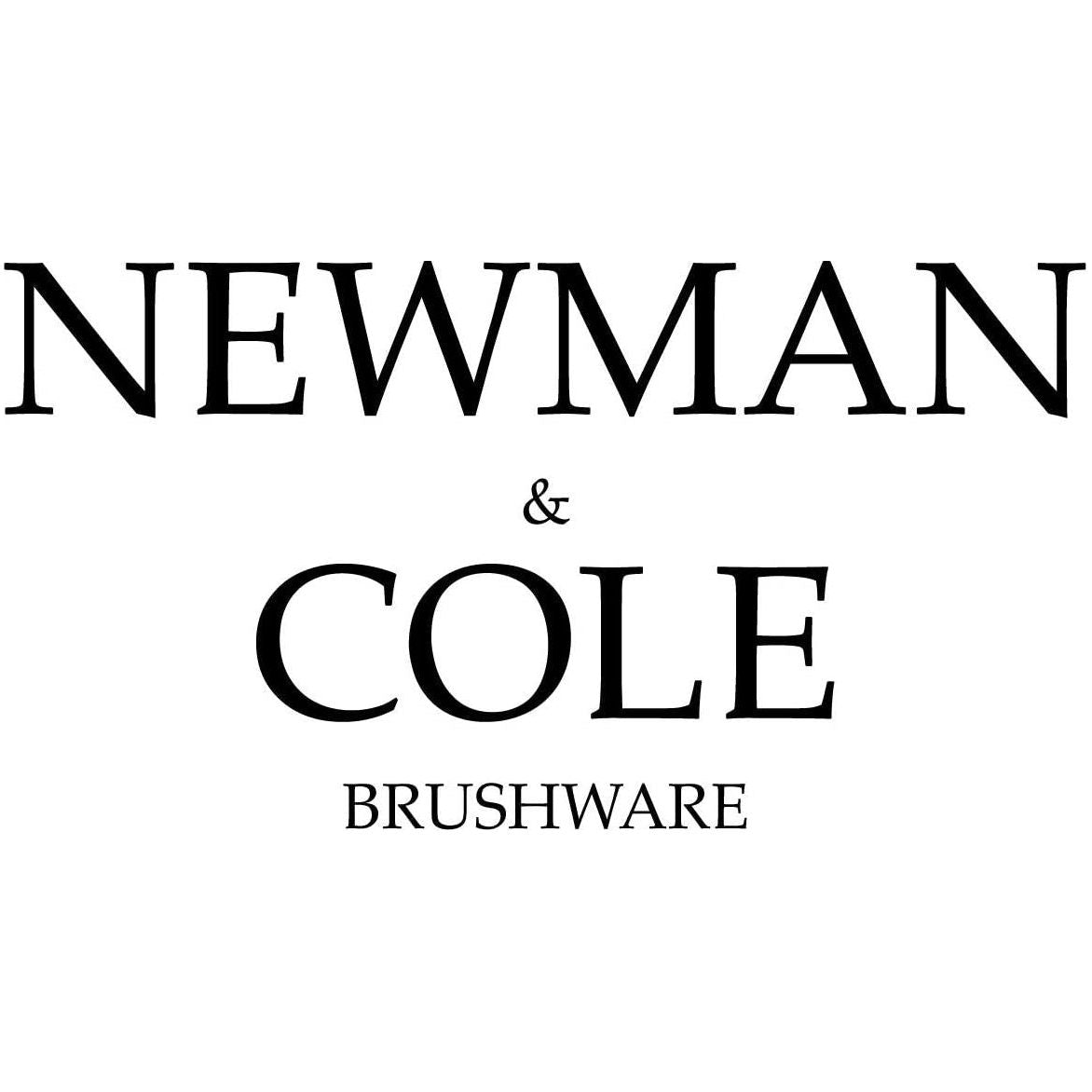 Newman and Cole Natural 10 Inch Soft Coco Broom Head with Plastic Socket