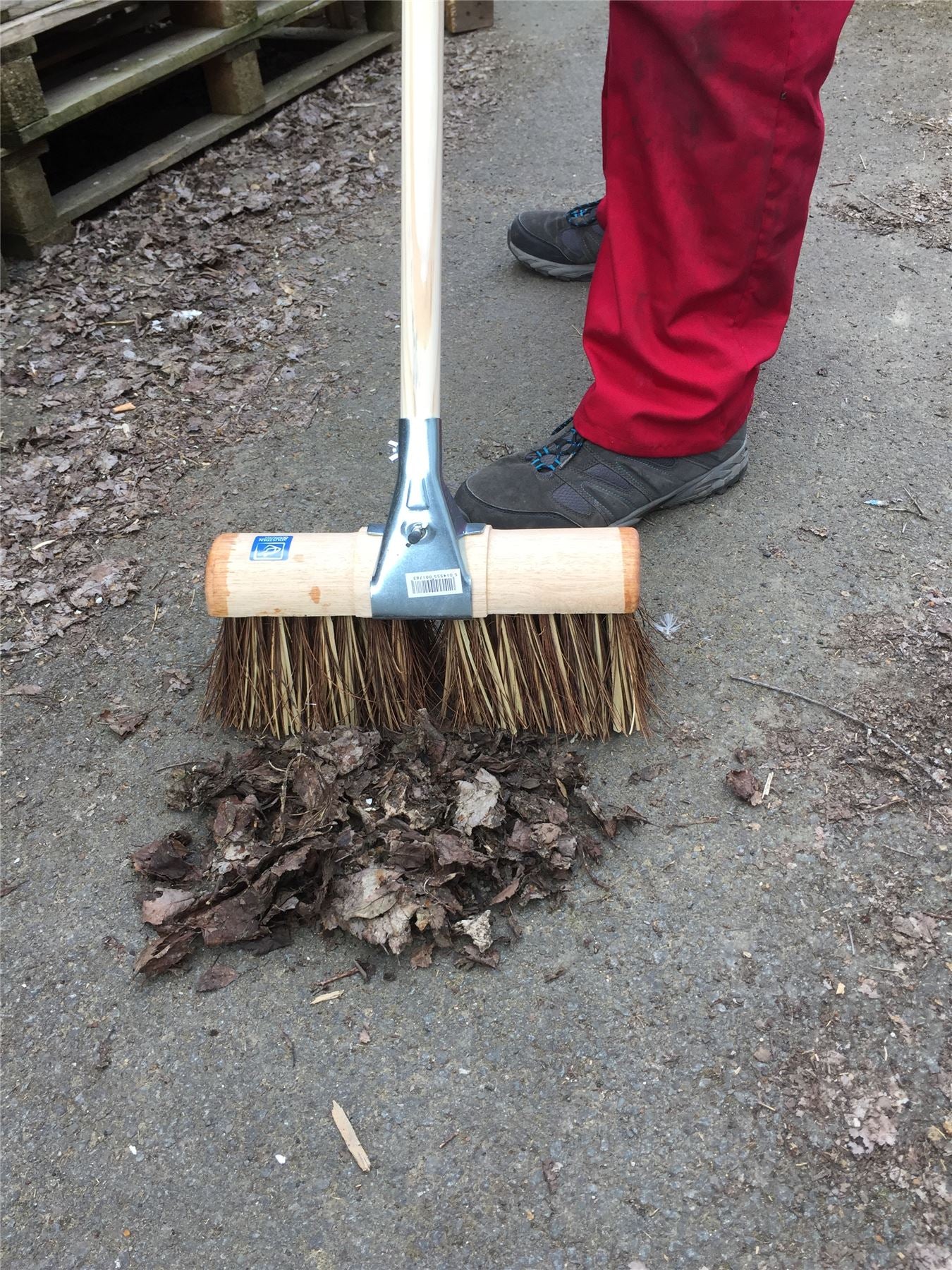 13" Saddle Back Bass Cane Yard Brush with Handle | Stiff Broom