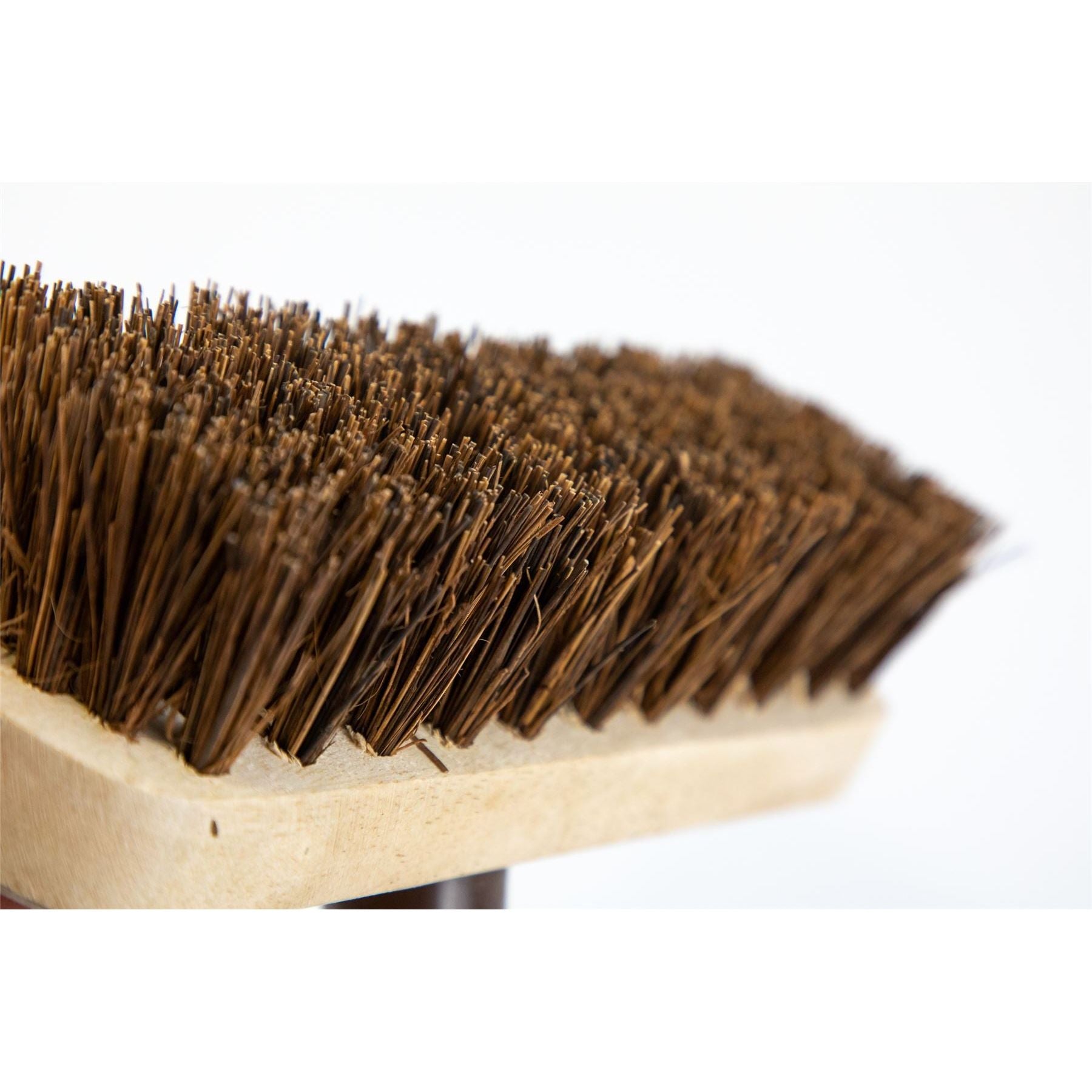 Newman & Cole 9" Natural Bassine Deck Scrub Head