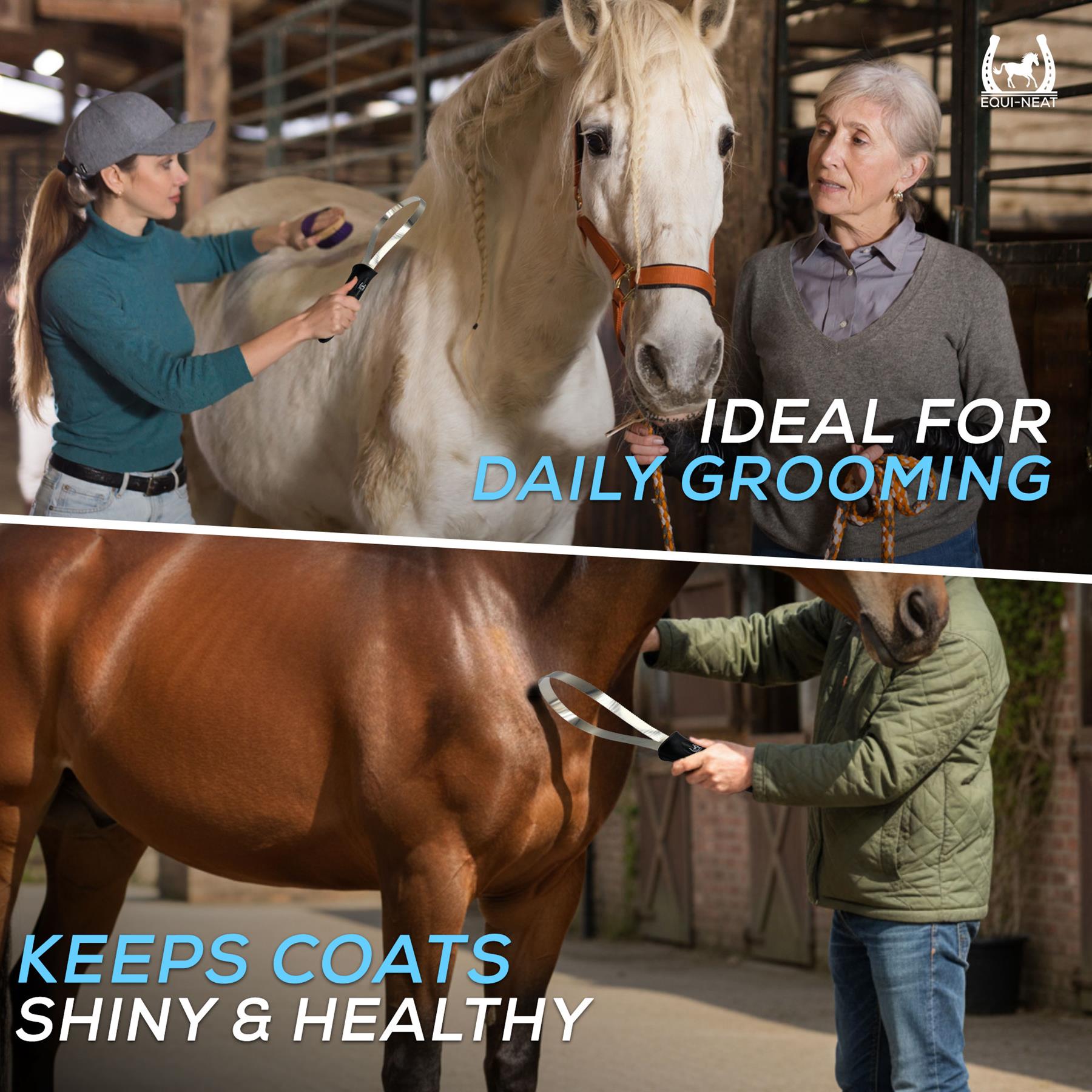 Equi-Neat Metal Shedder - Hair Scraping Blade