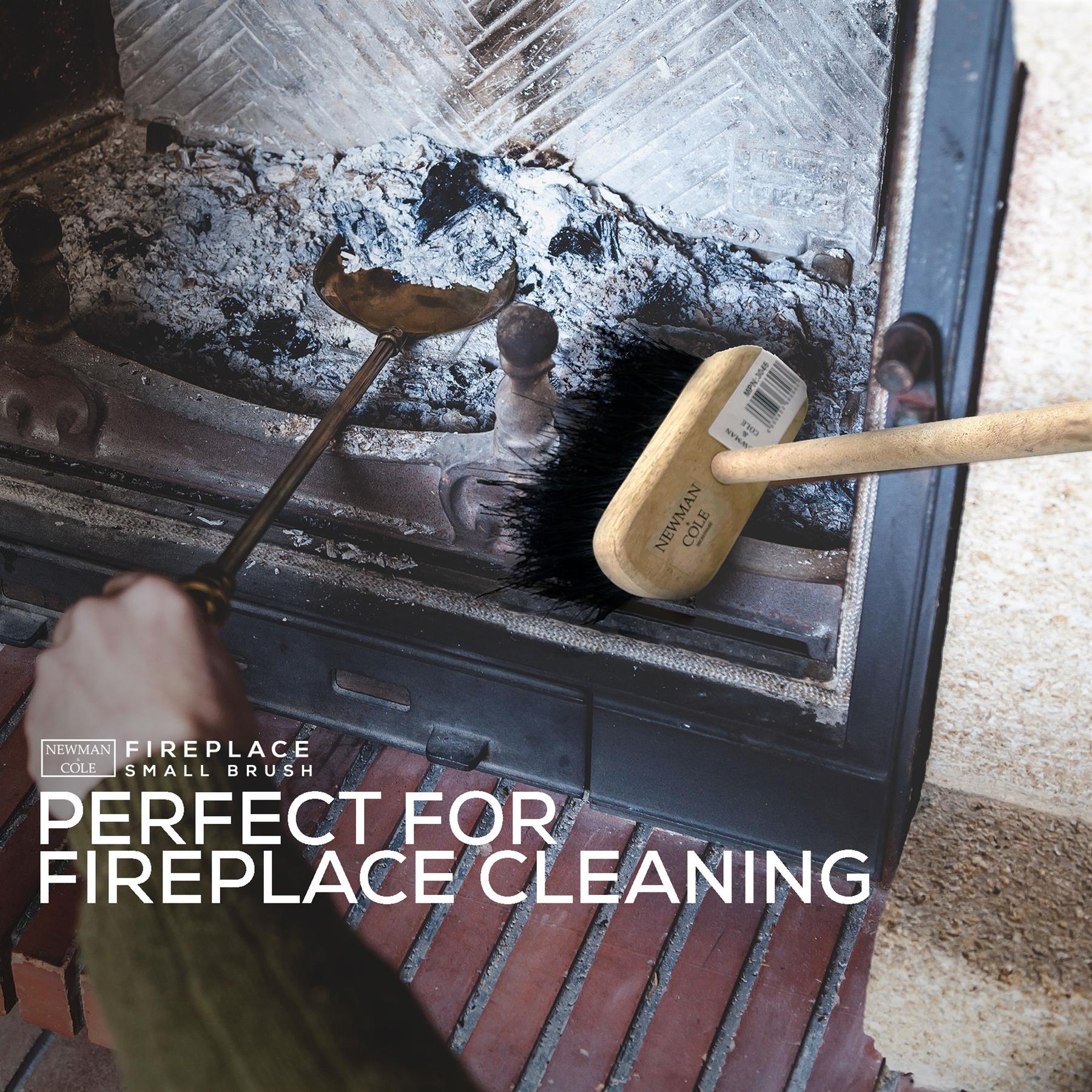 Fireside Companion Hearth Brush and Handle