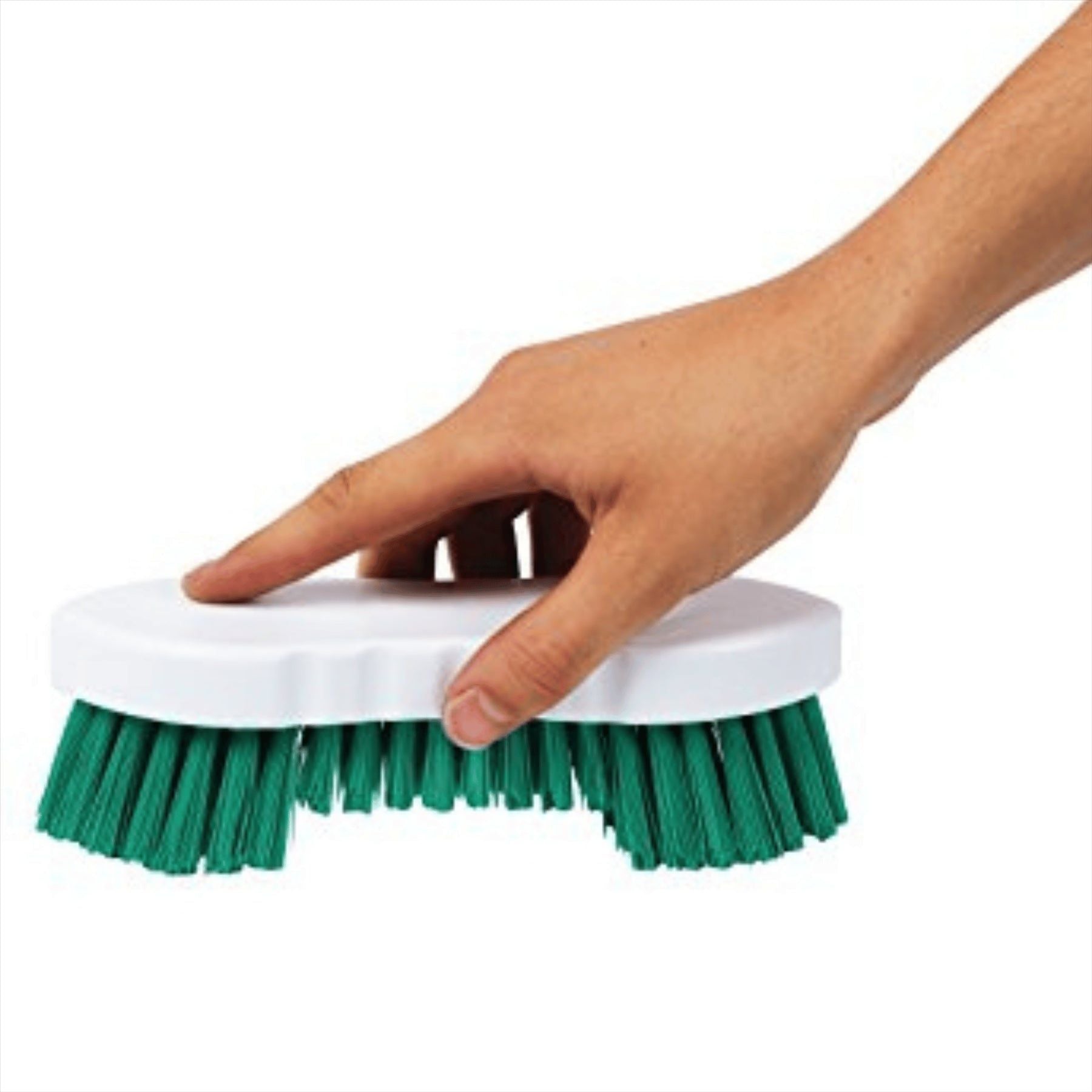 Green Colour Coded Double Winged Scrubbing Brush